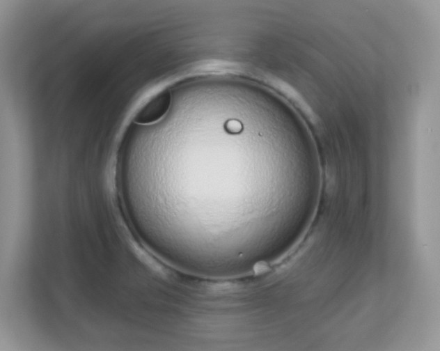 X0000110921421200906251409