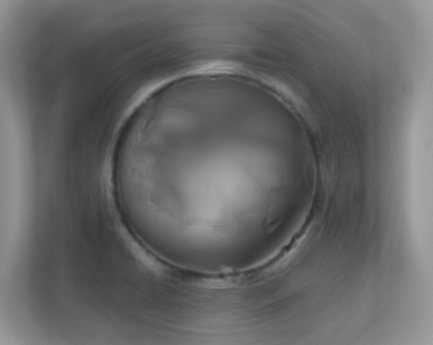 X0000110921422200906251409