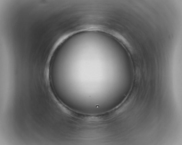 X0000110921424200906251409