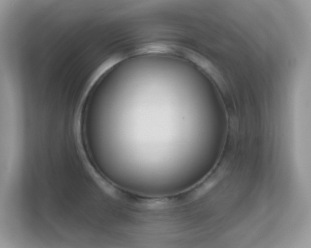 X0000110921426200906251409