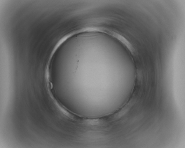 X0000110921428200906251409
