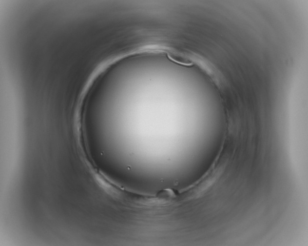 X0000110921430200906251409