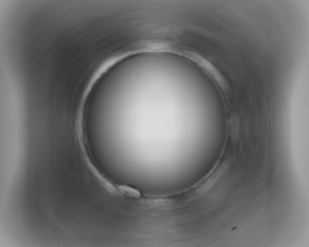 X0000110921432200906251409