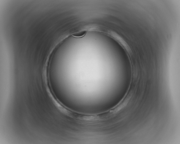 X0000110921434200906251409