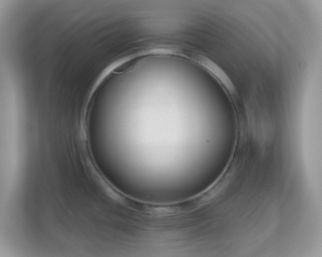 X0000110921436200906251409
