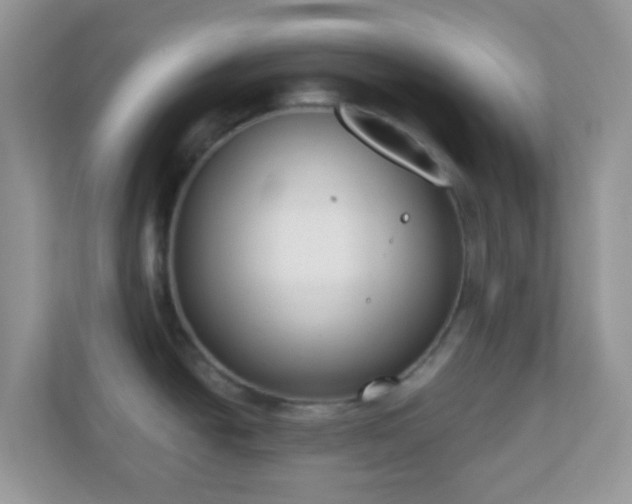 X0000110921438200906251409