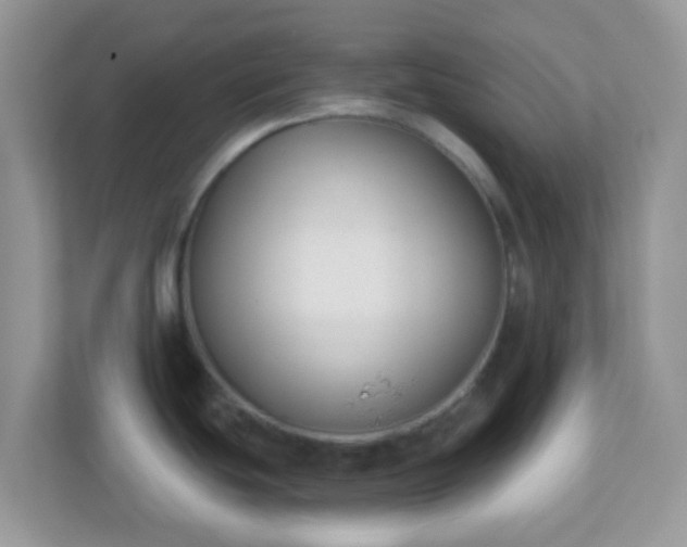 X0000110921439200906251409
