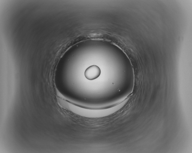 X0000110921441200906251408