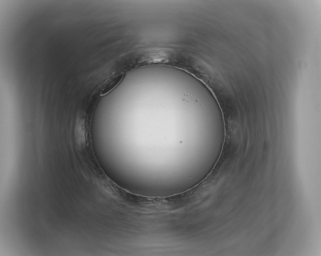 X0000110921442200906251408