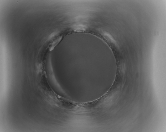 X0000110921445200906251408