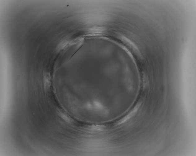 X0000110921449200906251408