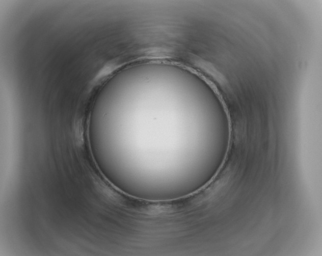 X0000110921451200906251408