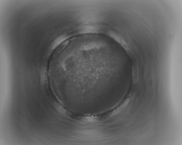 X0000110921453200906251408