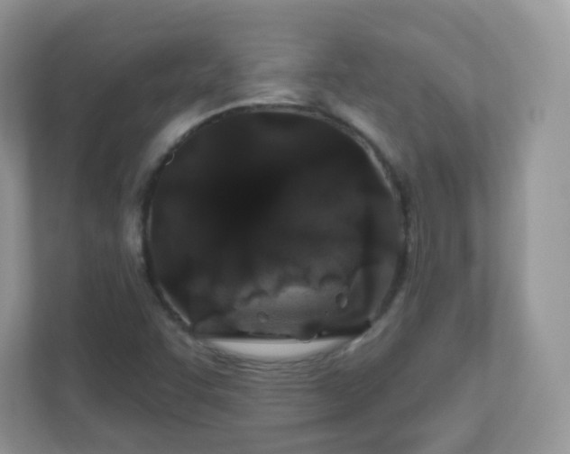 X0000110921455200906251408
