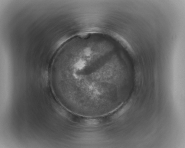 X0000110921457200906251408