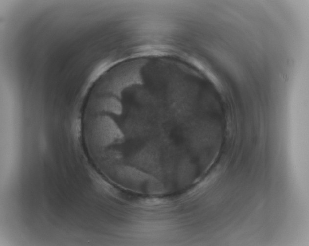 X0000110921459200906251408