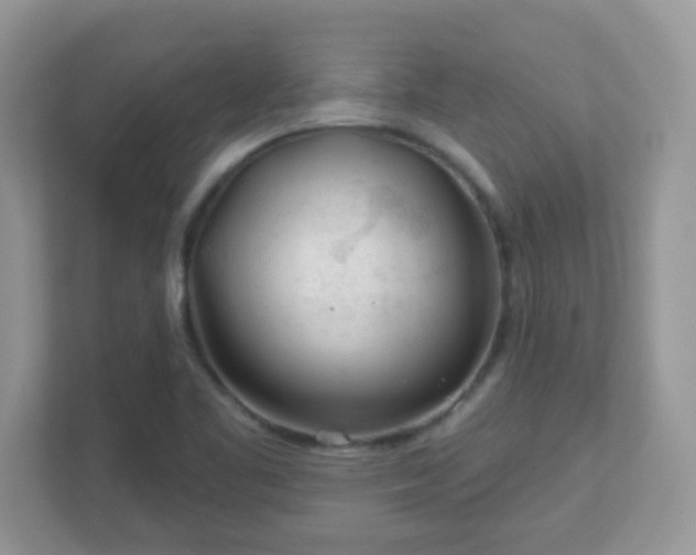 X0000110921461200906251408