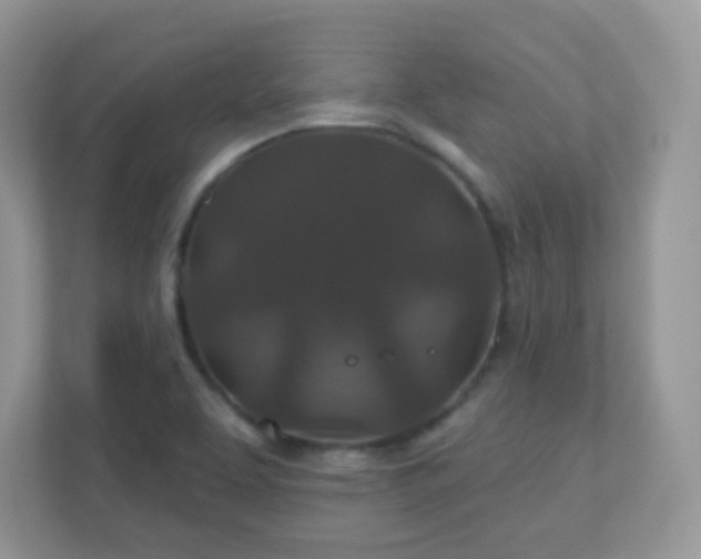 X0000110921463200906251408