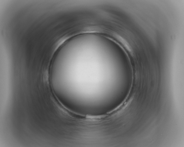 X0000110921465200906251408