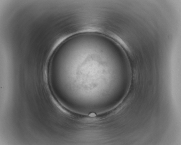 X0000110921468200906251408