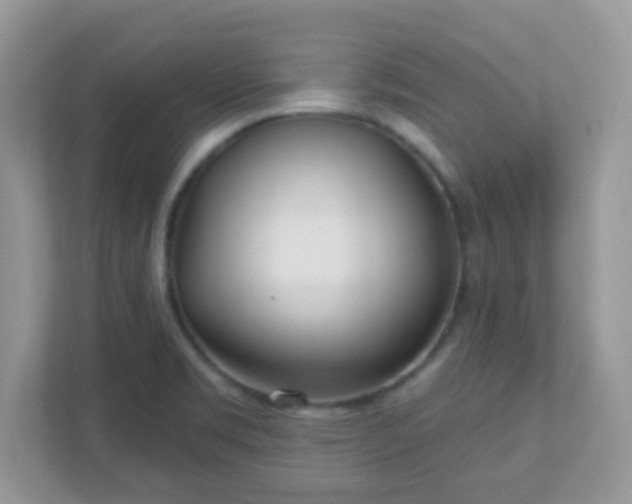 X0000110921469200906251408