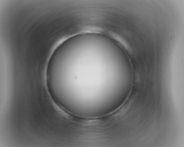 X0000110921471200906251408