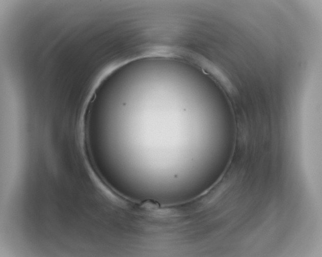 X0000110921479200906251408