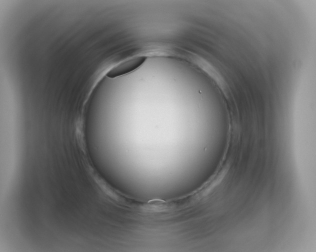 X0000110921481200906251408