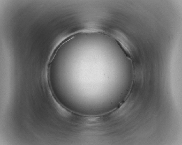 X0000110921484200906251408