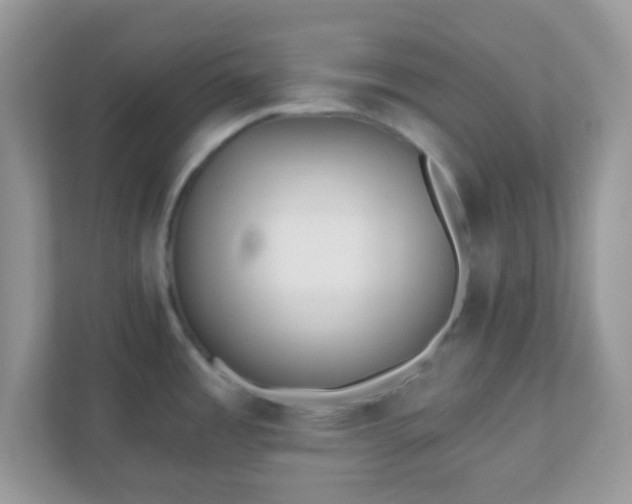X0000110921485200906251408