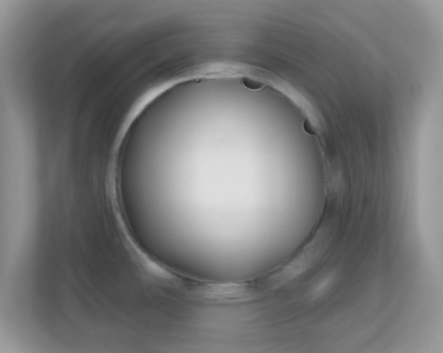 X0000110921486200906251408