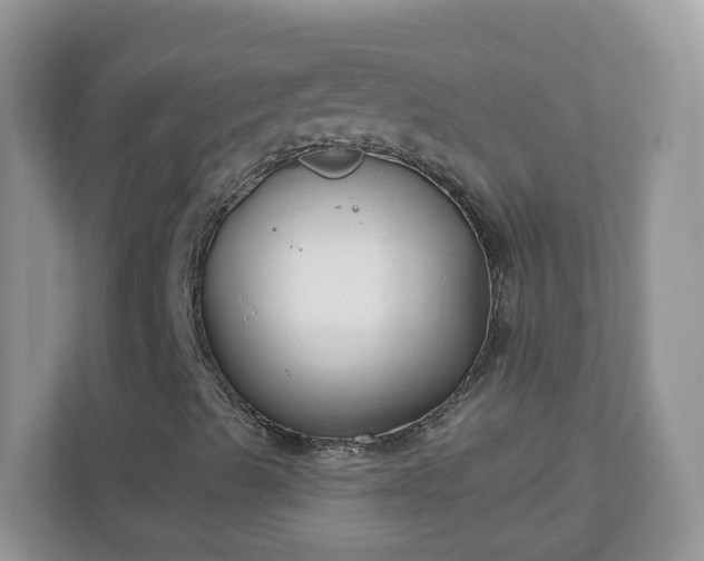 X0000110921489200906251407