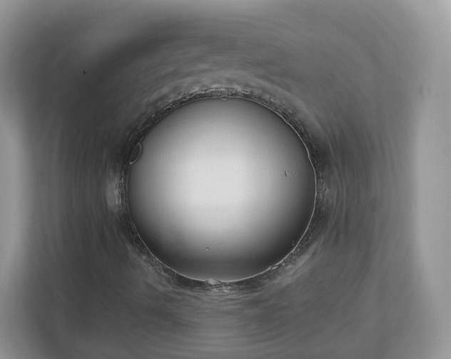 X0000110921490200906251407