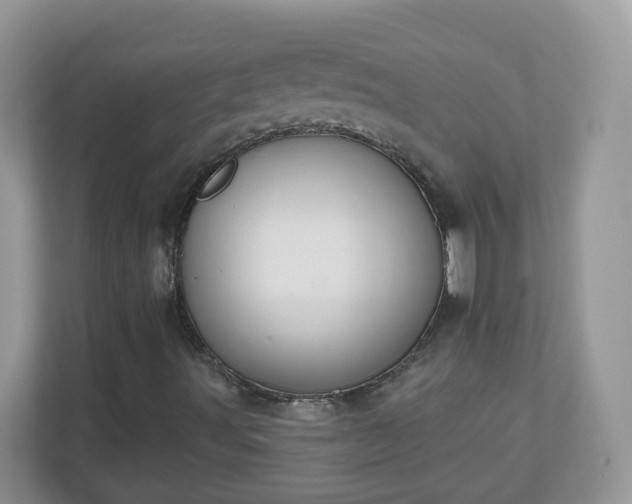 X0000110921491200906251407