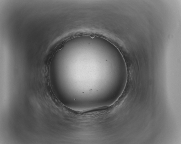 X0000110921494200906251407