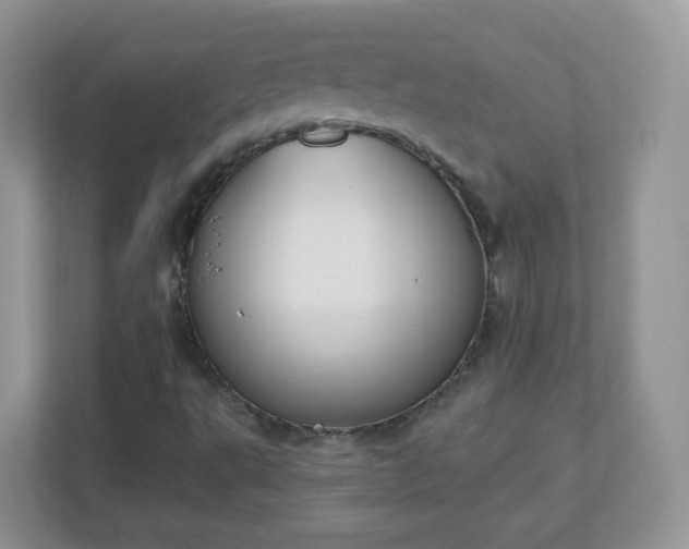 X0000110921495200906251407