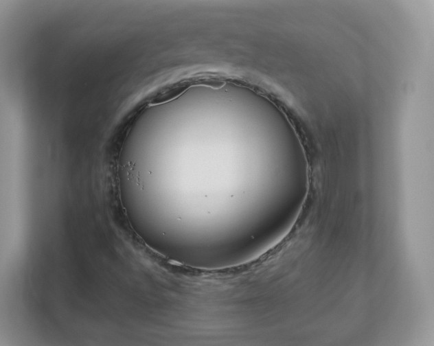 X0000110921496200906251407