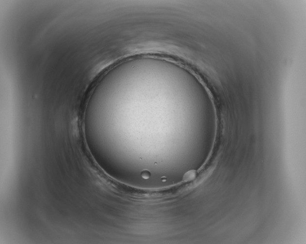 X0000110921497200906251407