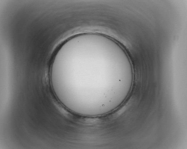 X0000110921498200906251407