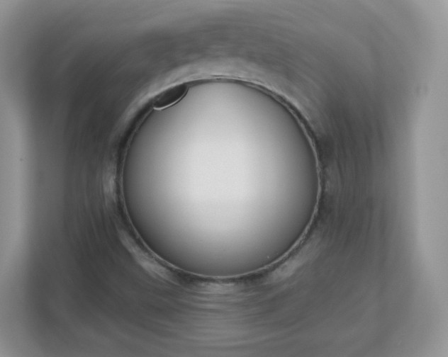 X0000110921499200906251407