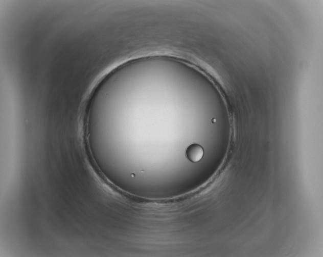 X0000110921500200906251407