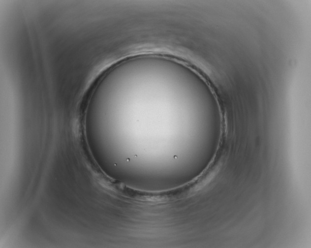 X0000110921501200906251407