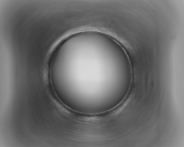 X0000110921502200906251407