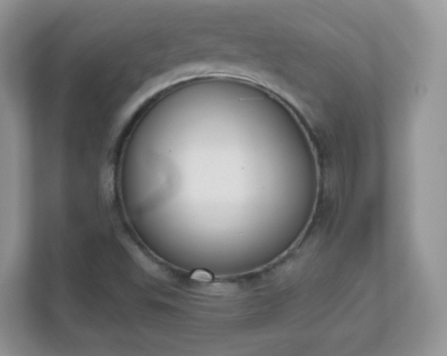 X0000110921503200906251407