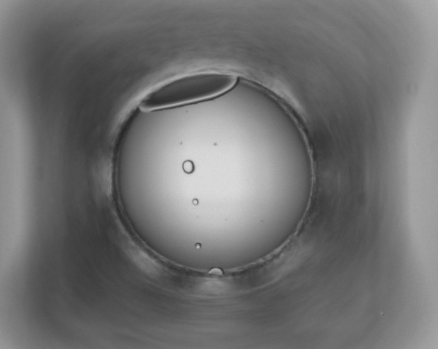 X0000110921504200906251407