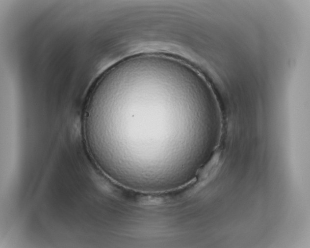 X0000110921505200906251407