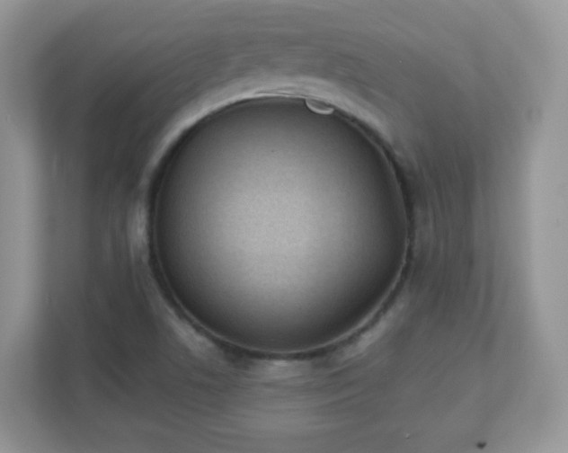 X0000110921506200906251407