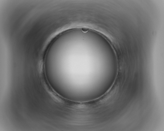 X0000110921507200906251407