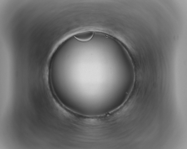 X0000110921508200906251408