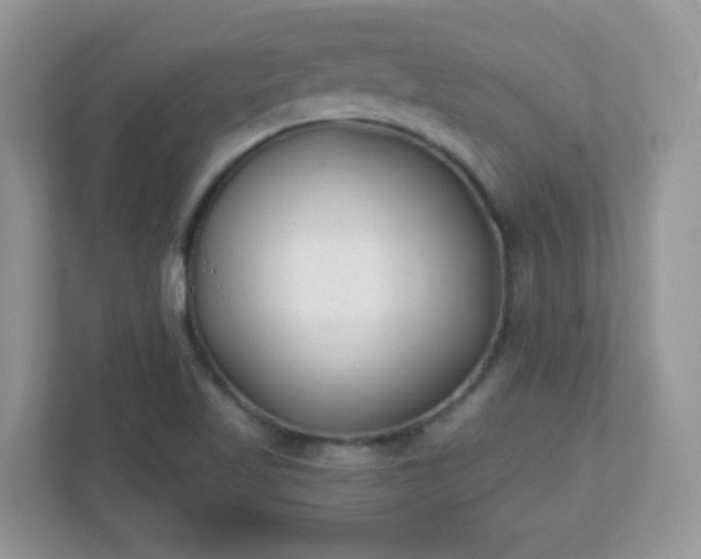 X0000110921509200906251408